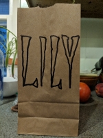 All lunchbags_136