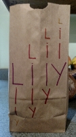 All lunchbags_144