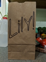 All lunchbags_148