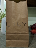 All lunchbags_156