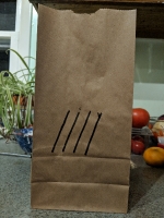 All lunchbags_174