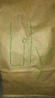 All lunchbags_17