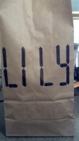 All lunchbags_18