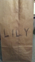 All lunchbags_23