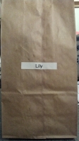 All lunchbags_26