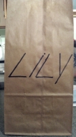 All lunchbags_28