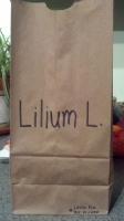 All lunchbags_32