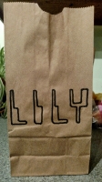 All lunchbags_38